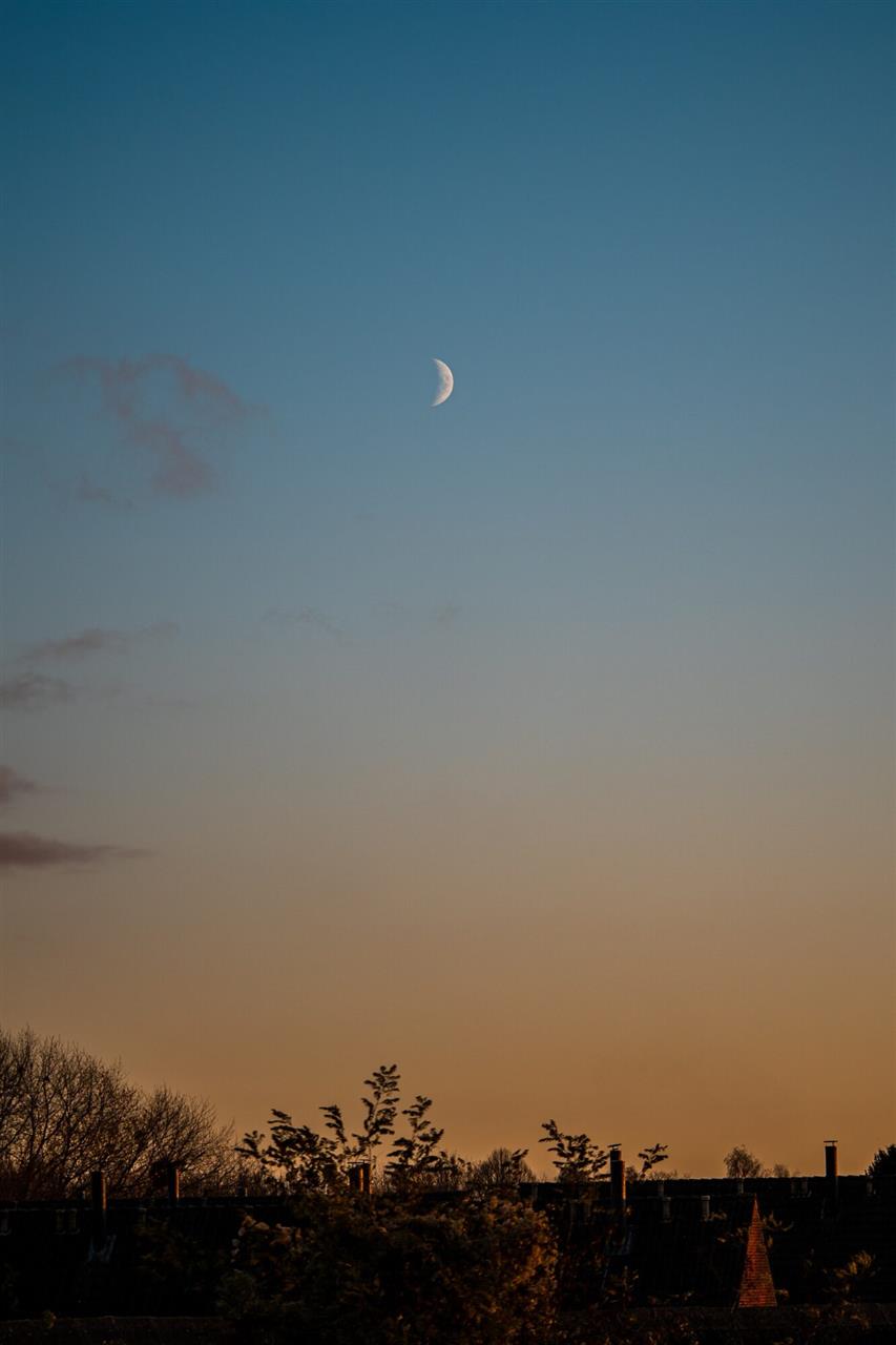 Spændende oplevelser i Rødovre