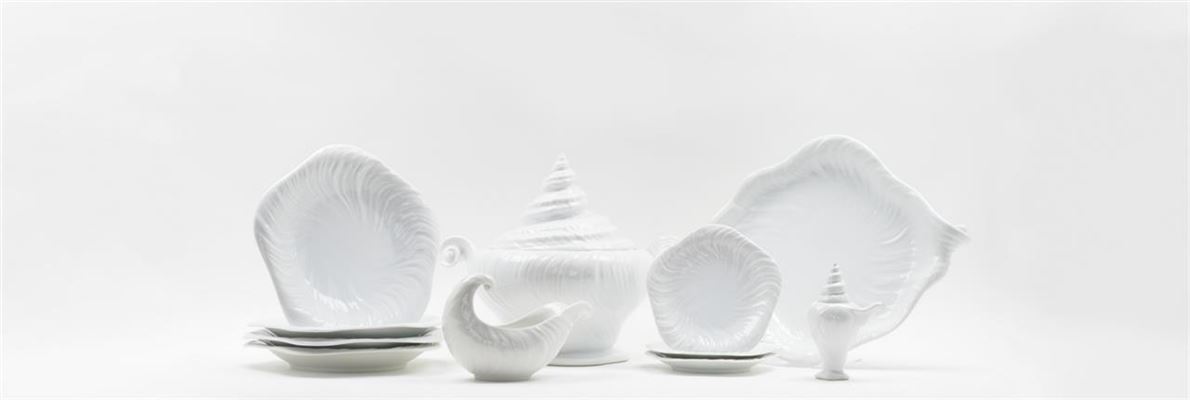 Konkylie – måske det mest eftertragtede stel