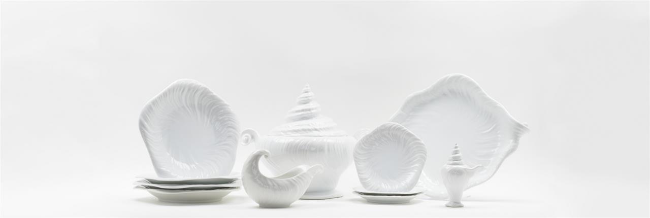 Konkylie – måske det mest eftertragtede stel