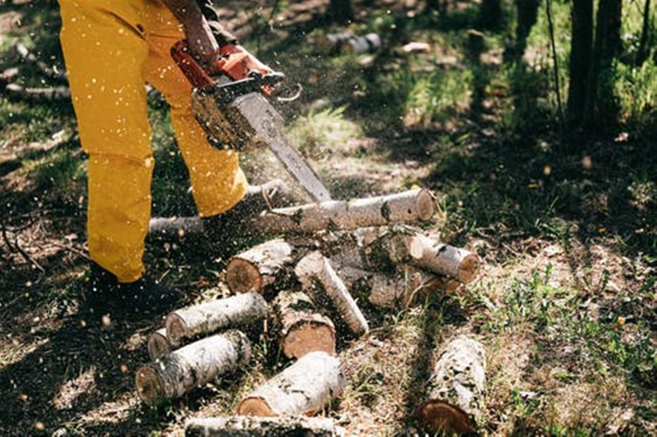 Sådan bliver du klædt godt på til arbejdet i skoven