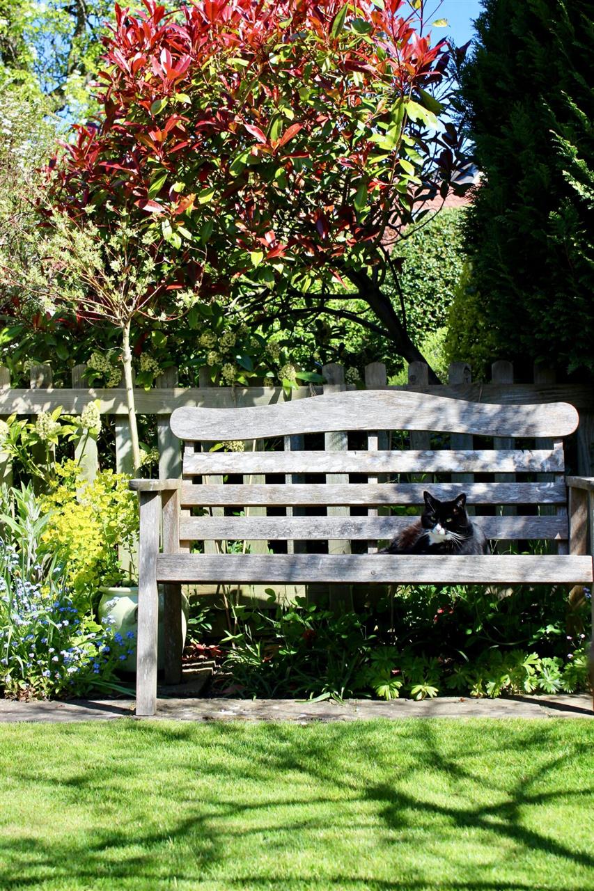 Havebænke – perfekt til de varme sommerdage