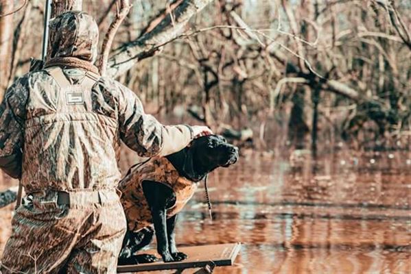 Oplev Elegancen i Tweed Bukser fra Laksen Sporting